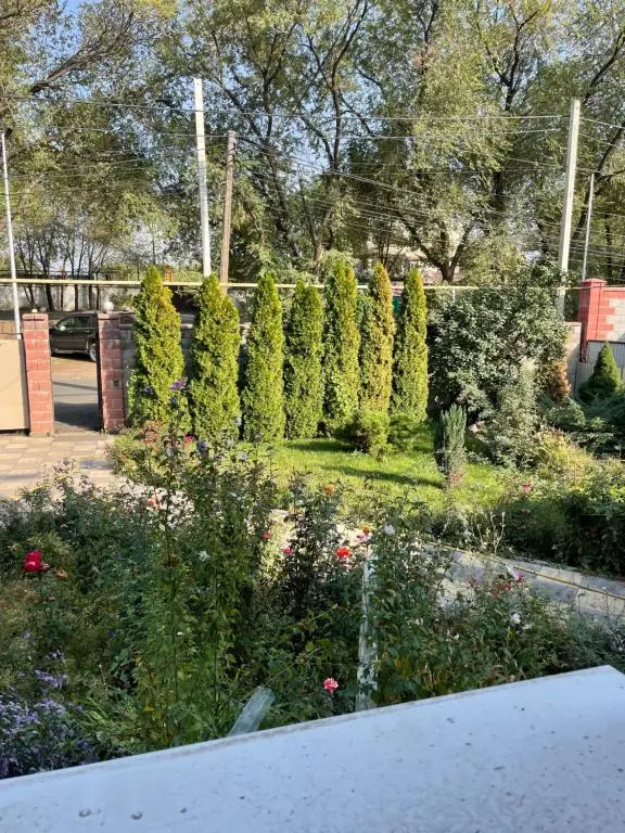 Барбекю бақша